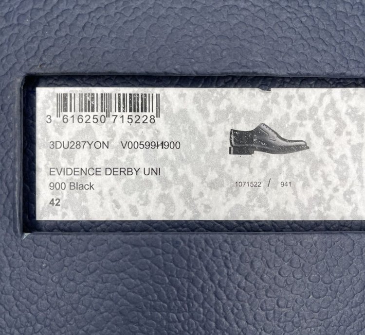 Dior Evidence Derby