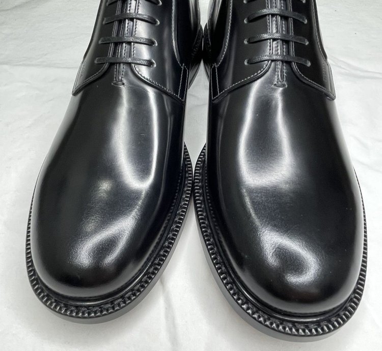 Dior Evidence Derby
