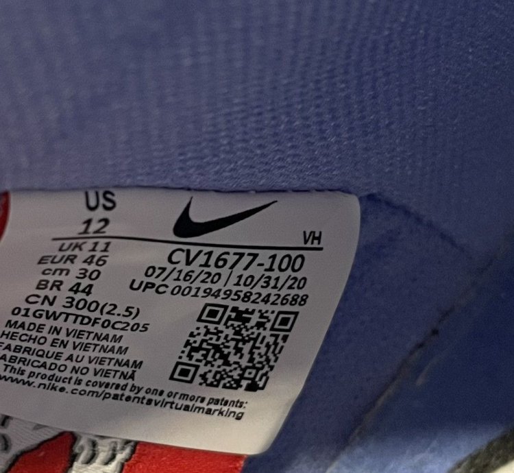 Nike Sb Dunk High Carpet Company 12