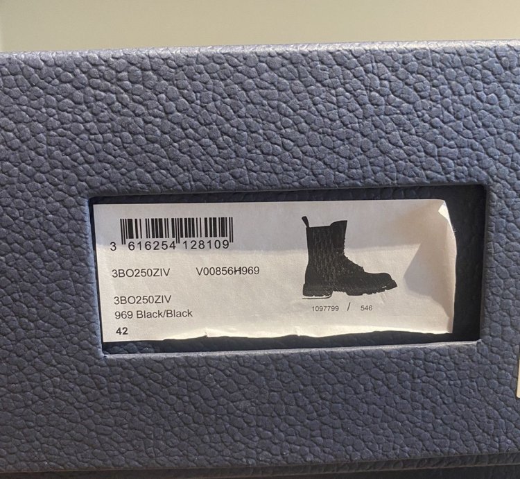 Dior Explorer Ii Leather Oblique Boots