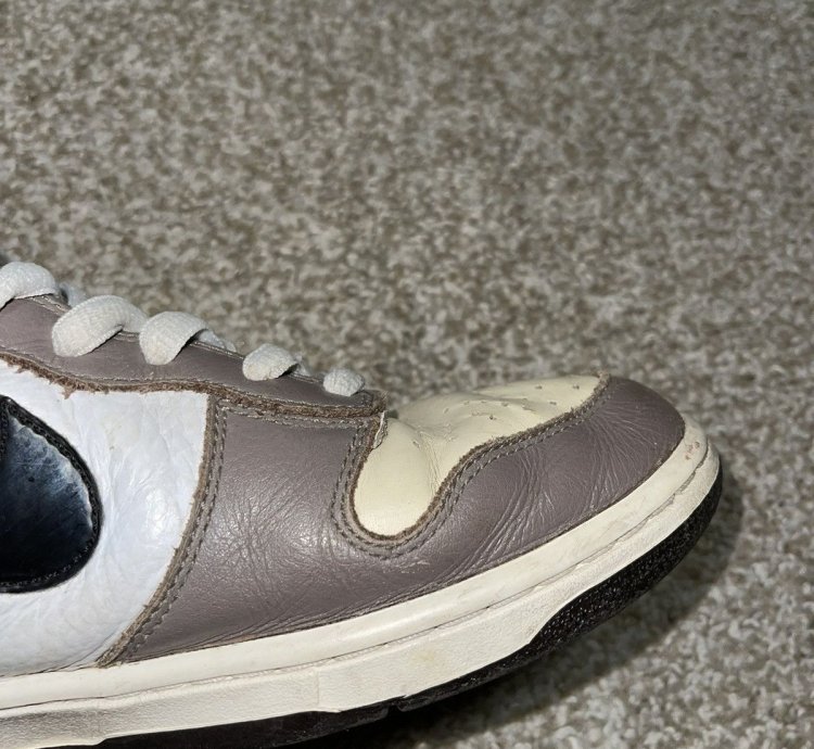 Nike Sb Dunk High Ferris Bueller