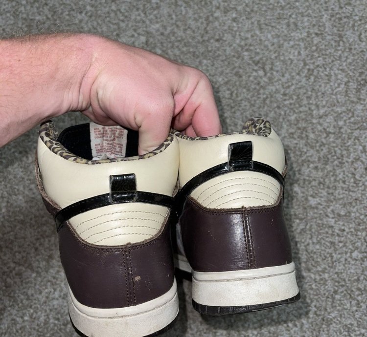 Nike Sb Dunk High Ferris Bueller