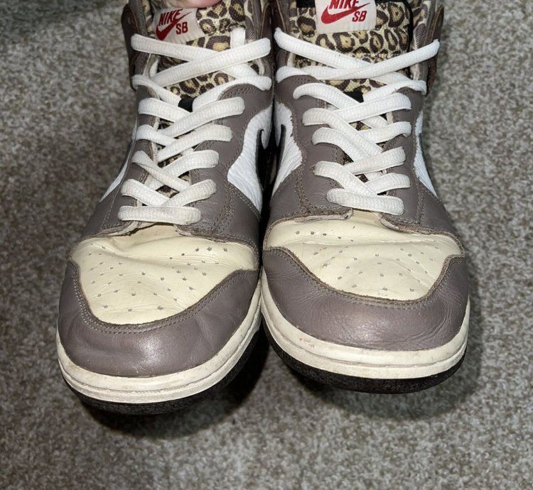 Nike Sb Dunk High Ferris Bueller