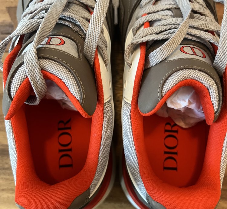 Dior Men B29 Sneakers Nwt
