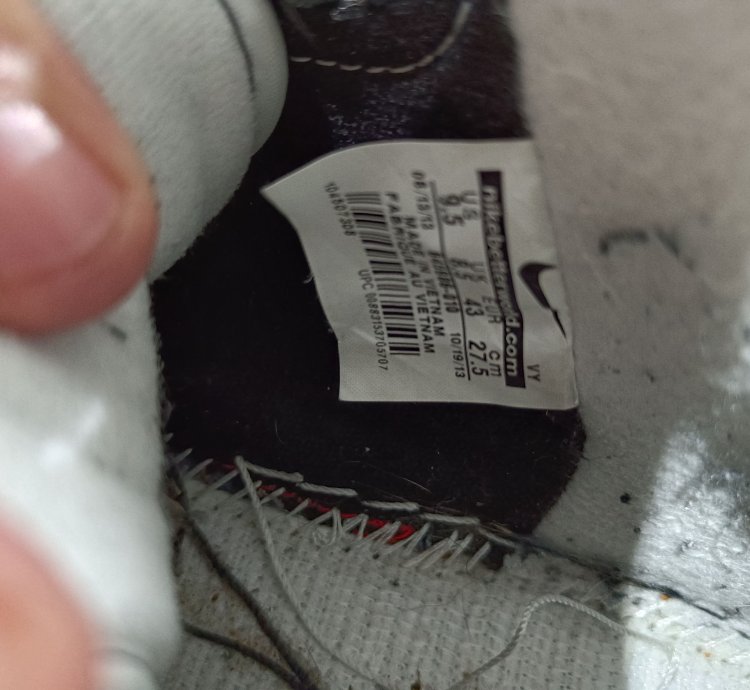 Nike Sb Dunk High Petoskey Premier