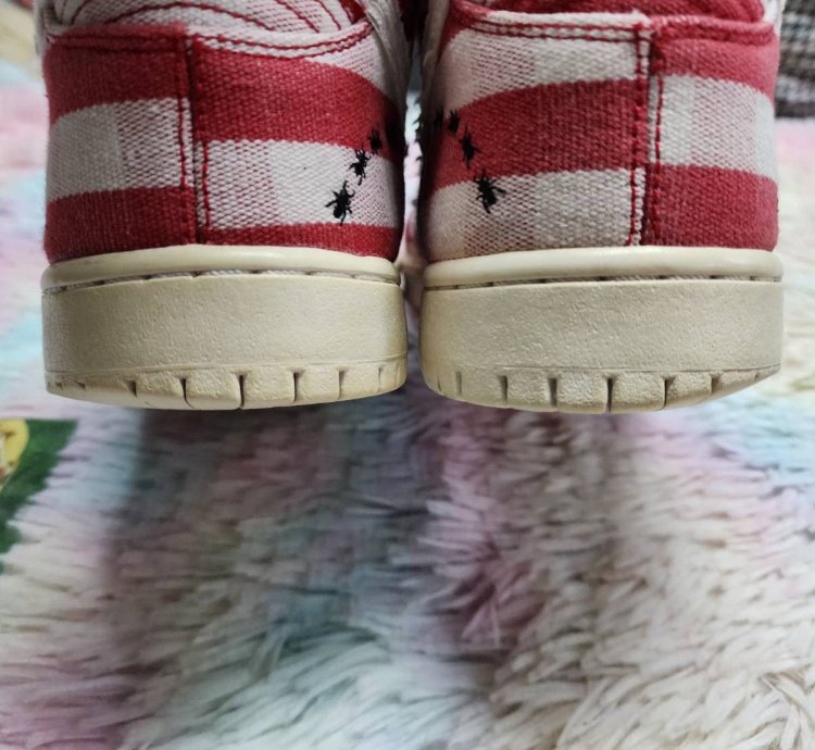 Nike Sb Dunk High Picnic