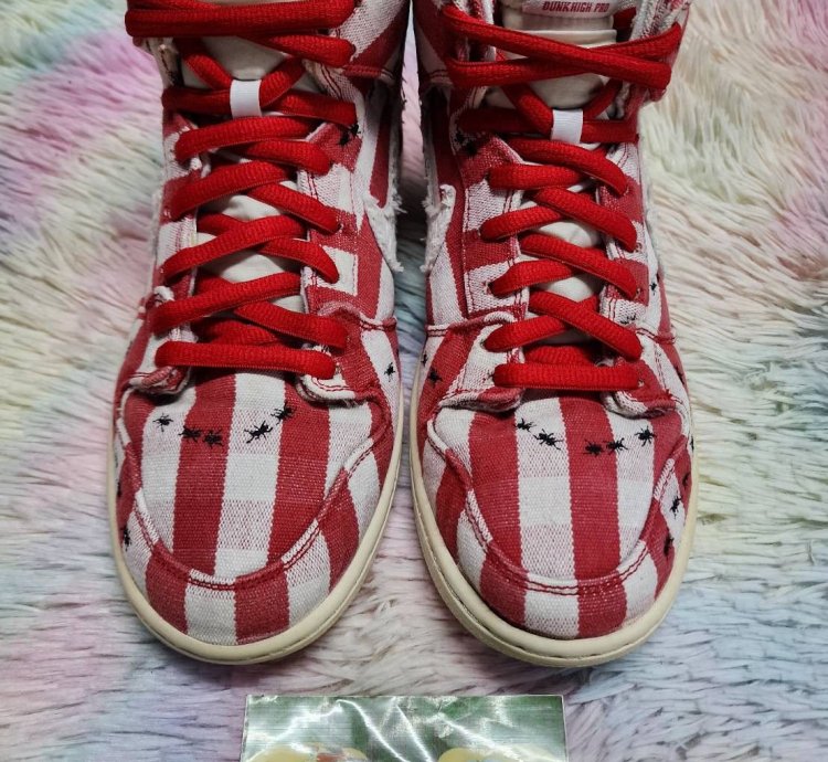 Nike Sb Dunk High Picnic