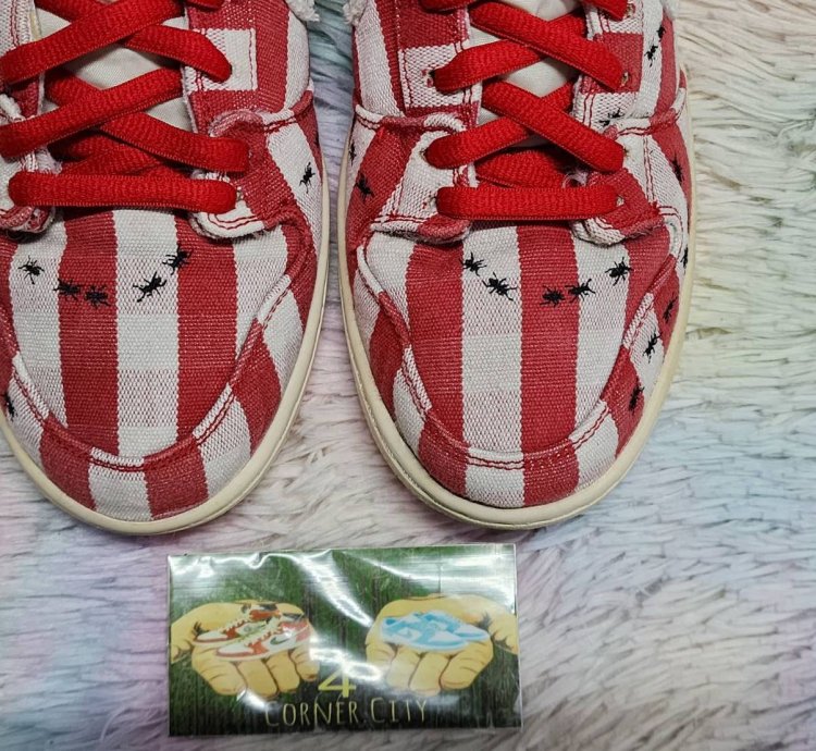 Nike Sb Dunk High Picnic