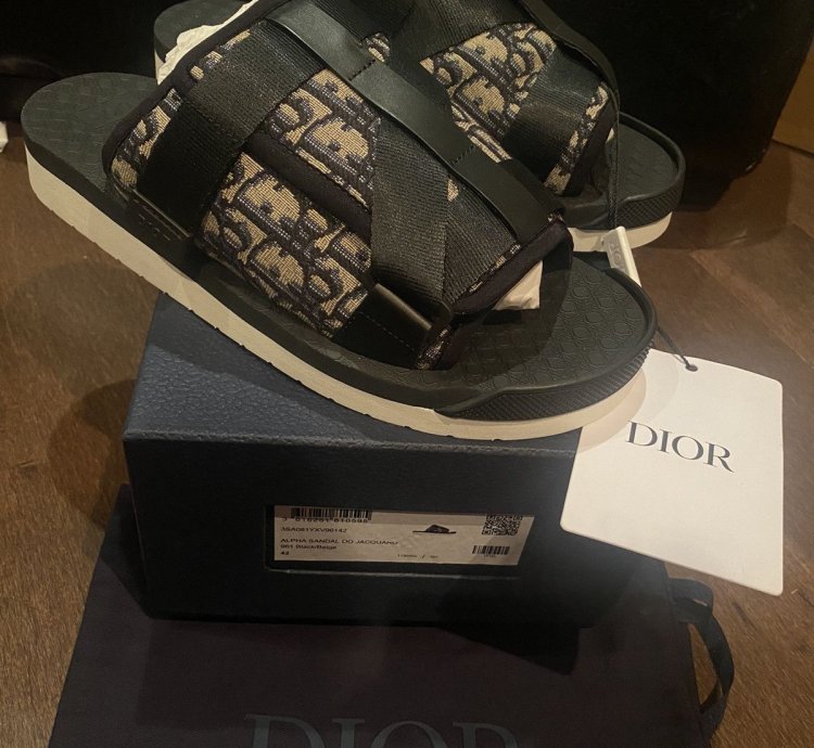 Dior Oblique Logo Slides