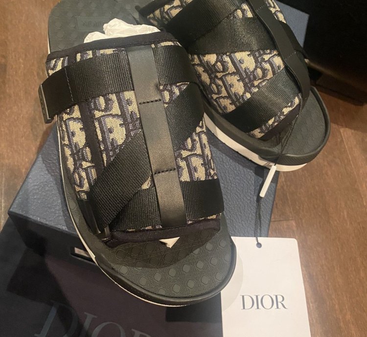 Dior Oblique Logo Slides