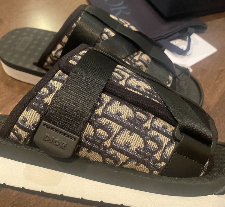 Dior Oblique Logo Slides