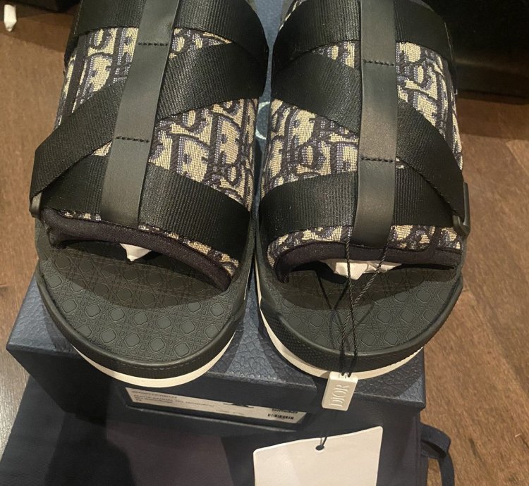 Dior Oblique Logo Slides