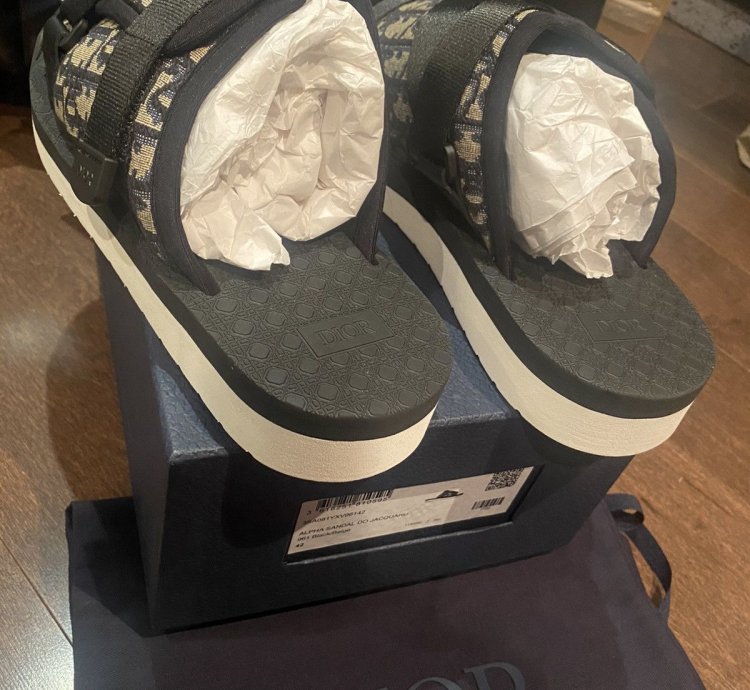 Dior Oblique Logo Slides