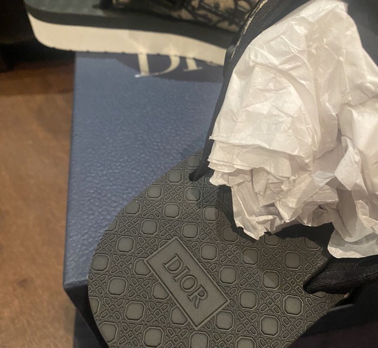 Dior Oblique Logo Slides