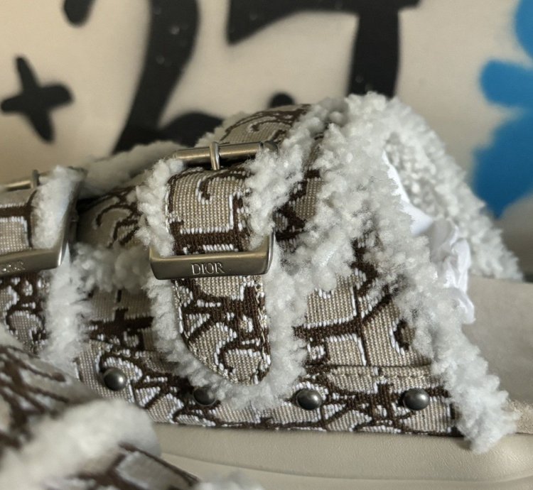 Dior Oblique Monogram Slides Sandal