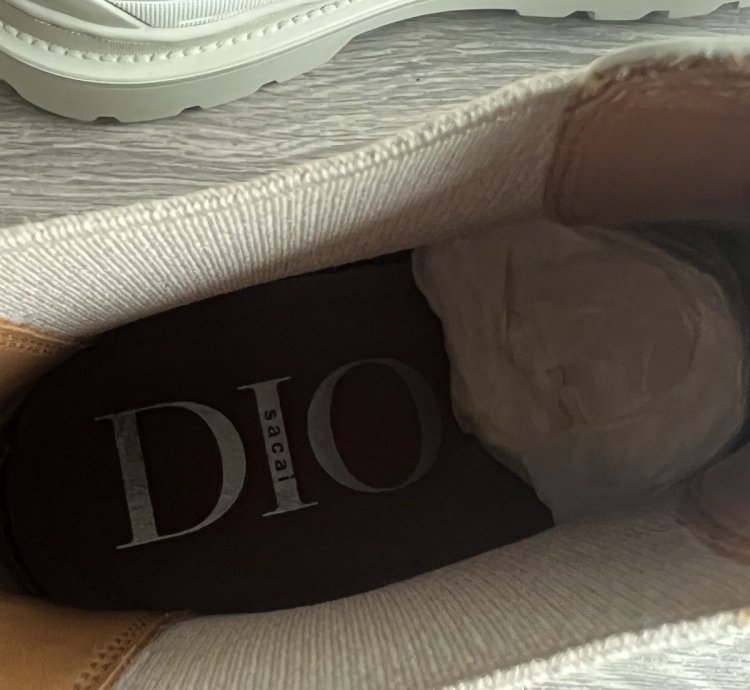 Dior Sacai Explorer Ankle Chelsea Boot