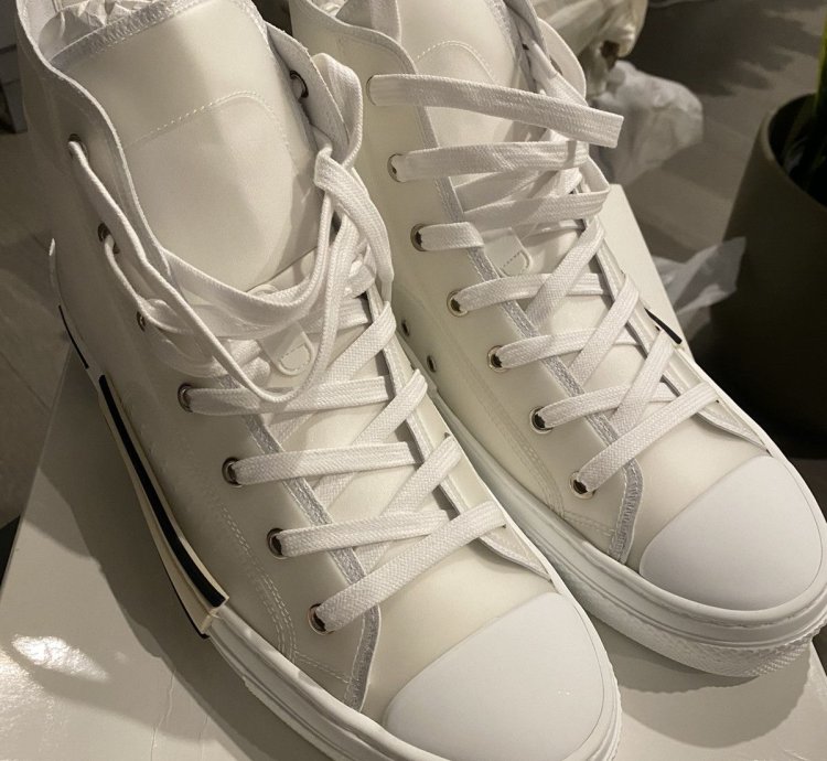 Dior Sample B23 Sneakers