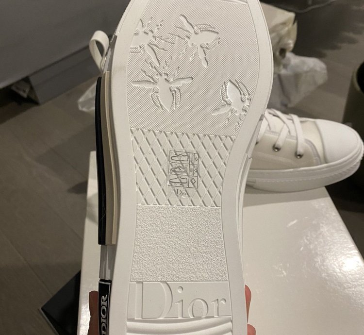 Dior Sample B23 Sneakers