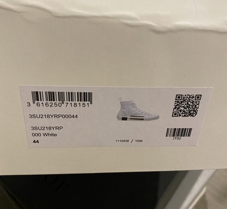 Dior Sample B23 Sneakers