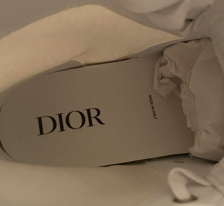 Dior Sample B23 Sneakers
