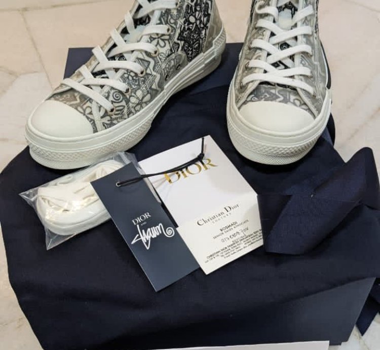 Dior Shawn Stussy B23 Sneaker