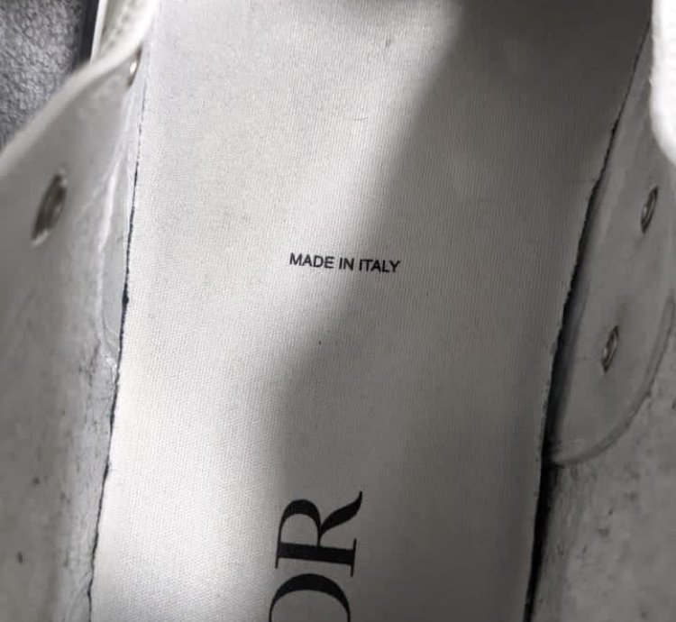 Dior Shawn Stussy B23 Sneaker