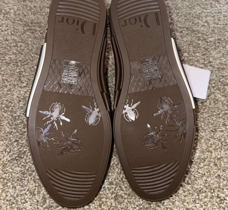 Dior Shoes