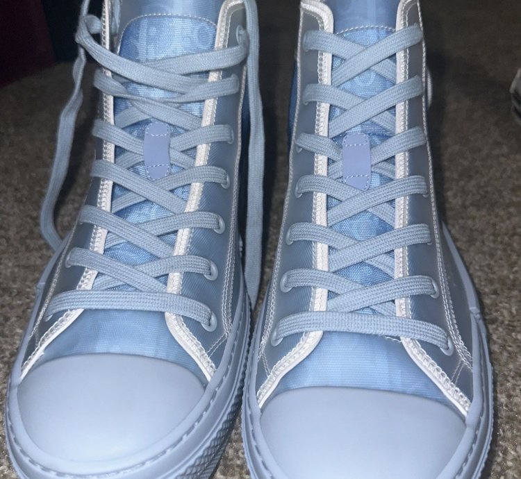 Dior Shoes