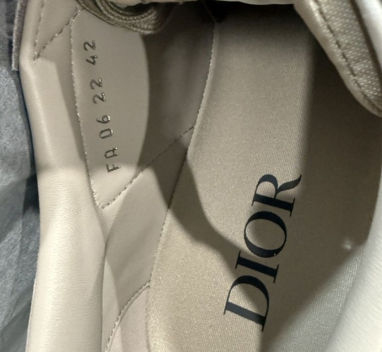 Dior Sneaker - B101 Smooth Cal