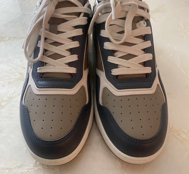 Dior Sneaker B27 Leather Shoes