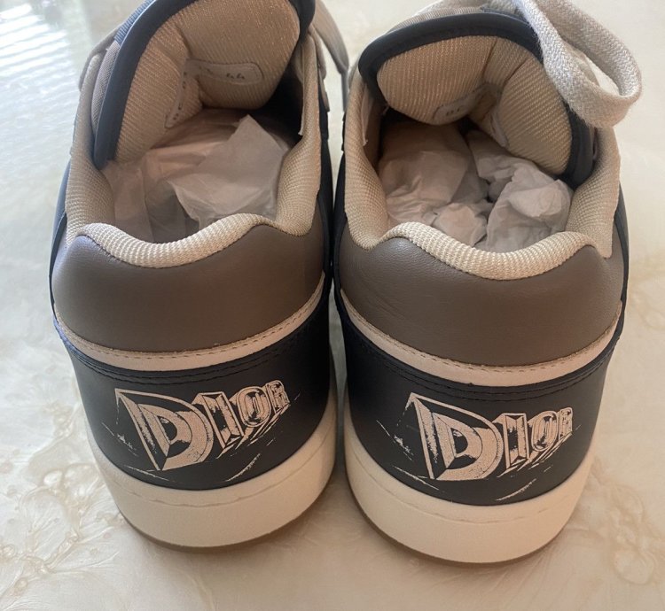 Dior Sneaker B27 Leather Shoes