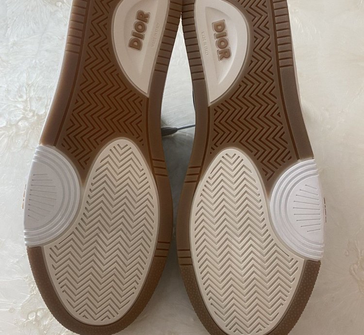 Dior Sneaker B27 Leather Shoes