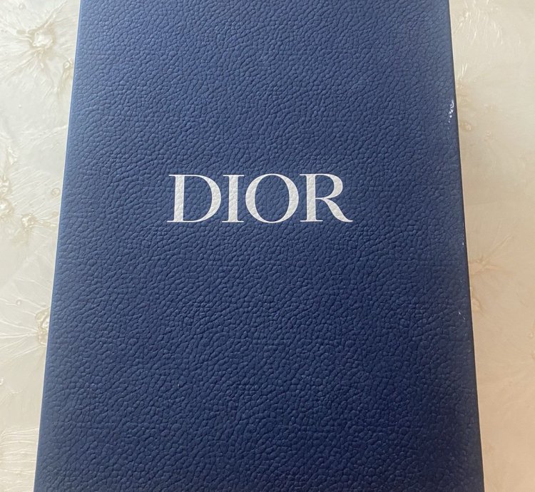 Dior Sneaker B27 Leather Shoes