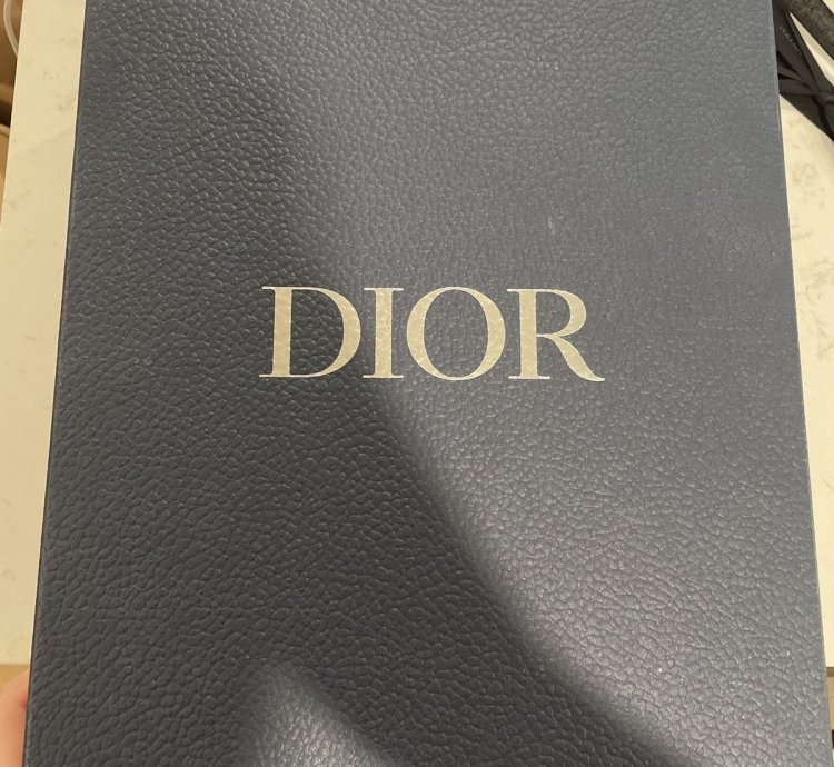 Dior Snow Slippers
