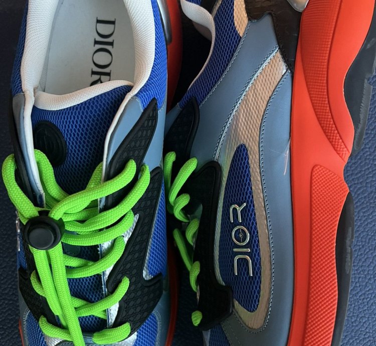 Dior Sorayama Sneaker