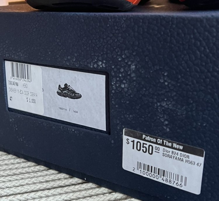 Dior Sorayama Sneaker