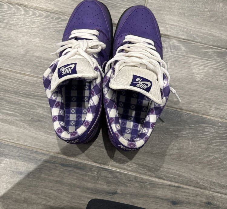 Nike Sb Dunk Los Purple Lobster