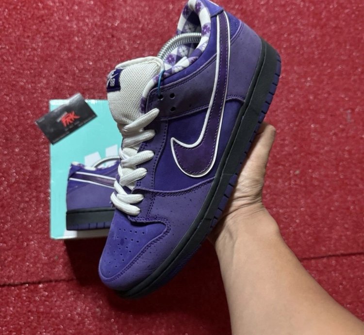 Nike Sb Dunk Los Purple Lobster