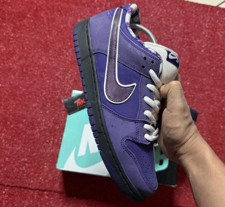 Nike Sb Dunk Los Purple Lobster