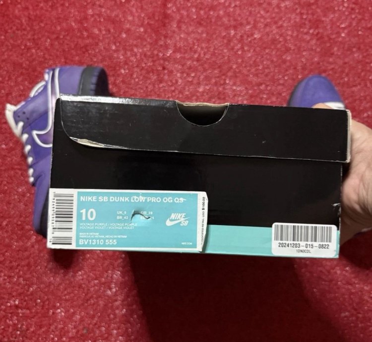 Nike Sb Dunk Los Purple Lobster