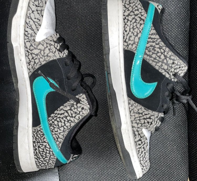 Nike Sb Dunk Low