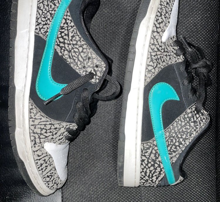 Nike Sb Dunk Low