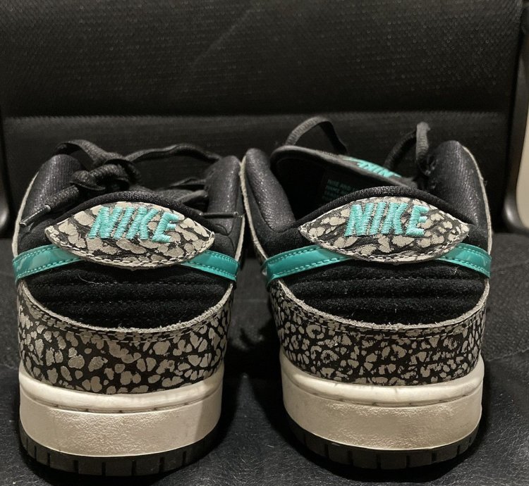Nike Sb Dunk Low