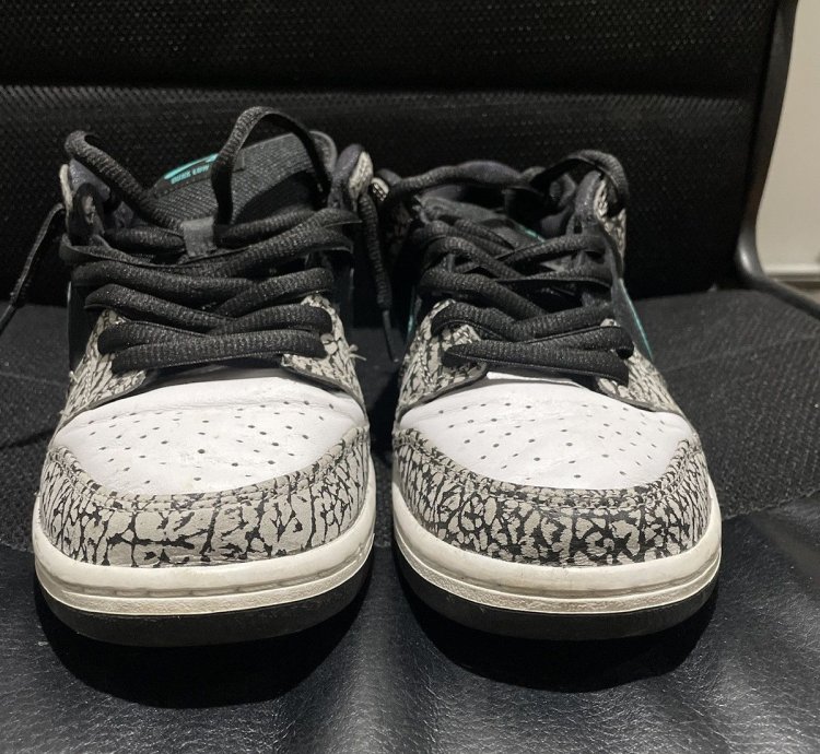 Nike Sb Dunk Low