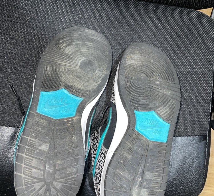 Nike Sb Dunk Low