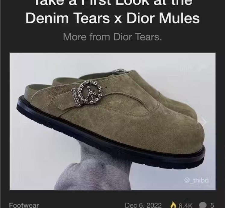 Dior Tears Oblique Mules