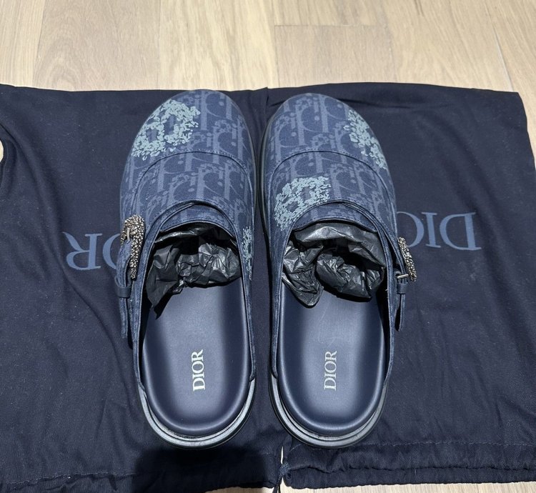 Dior Tears Oblique Mules