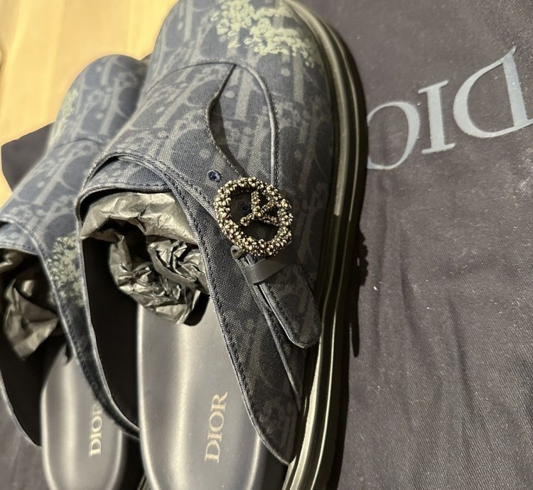 Dior Tears Oblique Mules