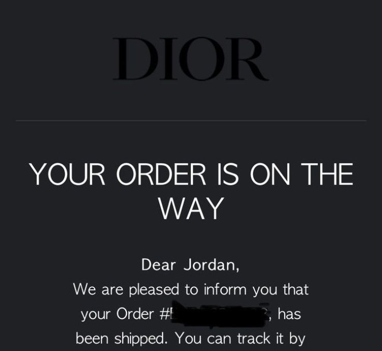 Dior Tokio Birkenstock