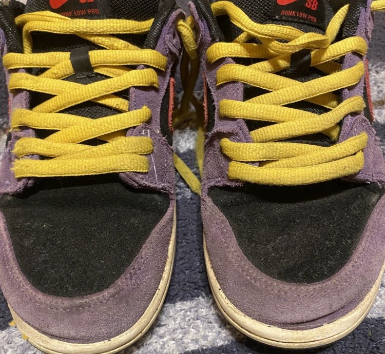 Nike Sb Dunk Low Acg Terra